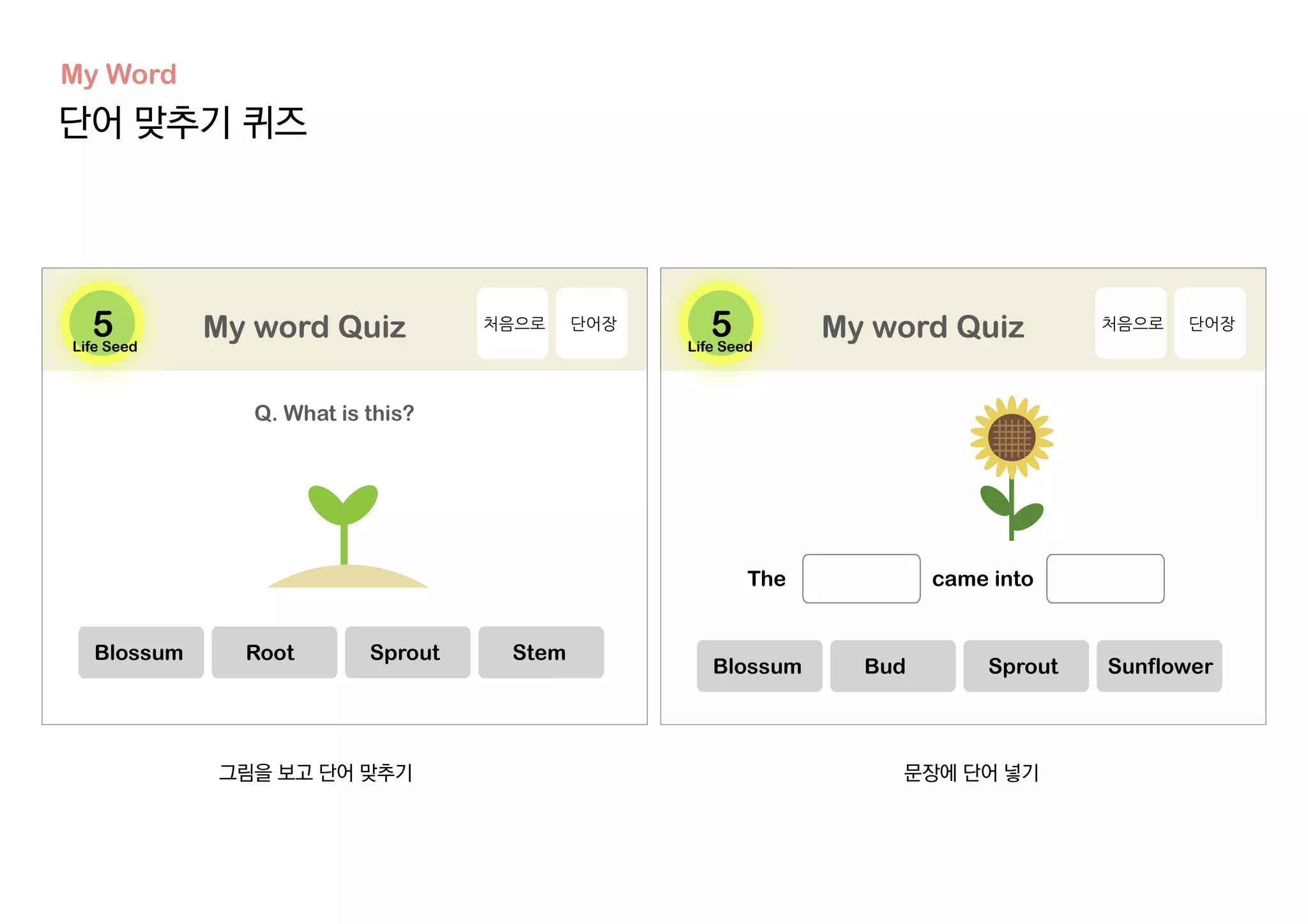 단어 맞추기 퀴즈
My Word
그림을 보고 단어 맞추기 문장에 단어 넣기
Life Seed Life Seed
 