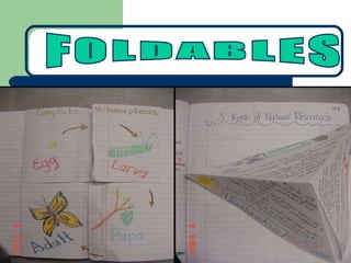 FOLDABLES 