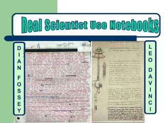 Real Scientist Use Notebooks DIAN F OSSEY LEO DAVINCI 