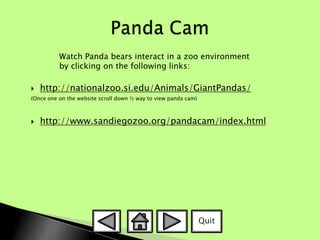 Interactive Powerpoint