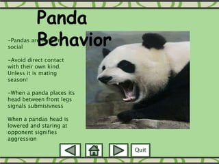 Interactive Powerpoint