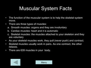 Muscular System Facts The function of the muscular system is to help the skeletal system move. There are three types of muscles: a.  Smooth muscles: organs and they are involuntary b.  Cardiac muscles: heart and it is automatic c.  Skeletal muscles: the muscles attached to your skeleton and they are voluntary As your skeletal muscles work, they pull (never push) and contract. Skeletal muscles usually work in pairs. As one contract, the other relaxes. There are 639 muscles in your  body. Menu 