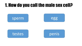 1. How do you call the male sex cell?
sperm
testes penis
egg
 