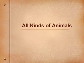 All Kinds of Animals 