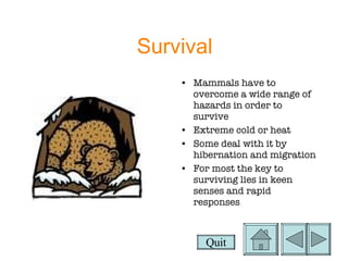 Survival Mammals have to overcome a wide range of hazards in order to survive Extreme cold or heat Some deal with it by hibernation and migration For most the key to surviving lies in keen senses and rapid responses Quit 