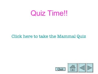 Quiz Time!! Click here to take the Mammal Quiz Quit 
