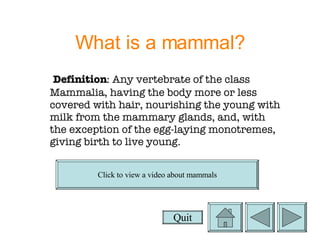What is a mammal? Definition : Any vertebrate of the class Mammalia, having the body more or less covered with hair, nourishing the young with milk from the mammary glands, and, with the exception of the egg-laying monotremes, giving birth to live young. Quit Click to view a video about mammals 