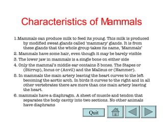 Characteristics of Mammals 1.Mammals can produce milk to feed its young. This milk is produced by modified sweat glands called 'mammary' glands. It is from these glands that the whole group takes its name, 'Mammals’ 2. Mammals have some hair, even though it may be barely visible 3. The lower jaw in mammals is a single bone on either side 4. Only the mammal’s middle ear contains 3 bones. The Stapes or (Stirrup), Incus or (Anvil) and the Malleus or (Hammer). 5. In mammals the main artery leaving the heart curves to the left becoming the aortic arch. In birds it curves to the right and in all other vertebrates there are more than one main artery leaving the heart.  6. mammals have a diaphragm. A sheet of muscle and tendon that separates the body cavity into two sections. No other animals have diaphrams Quit 