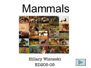 Mammals Hillary Wisneski ED205-05 
