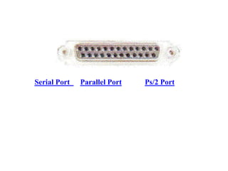 Serial Port Parallel Port Ps/2 Port
 