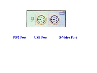 PS/2 Port USB Port S-Video Port
 
