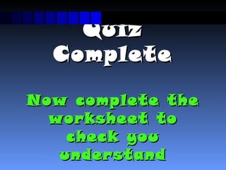 Interactive spreadsheet basics[1] | PPT