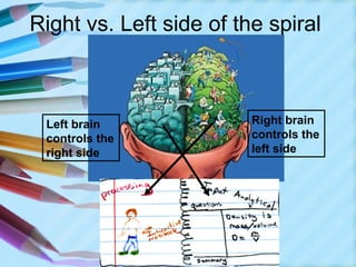 Right vs. Left side of the spiral



 Left brain              Right brain
 controls the            controls the
 right side              left side
 