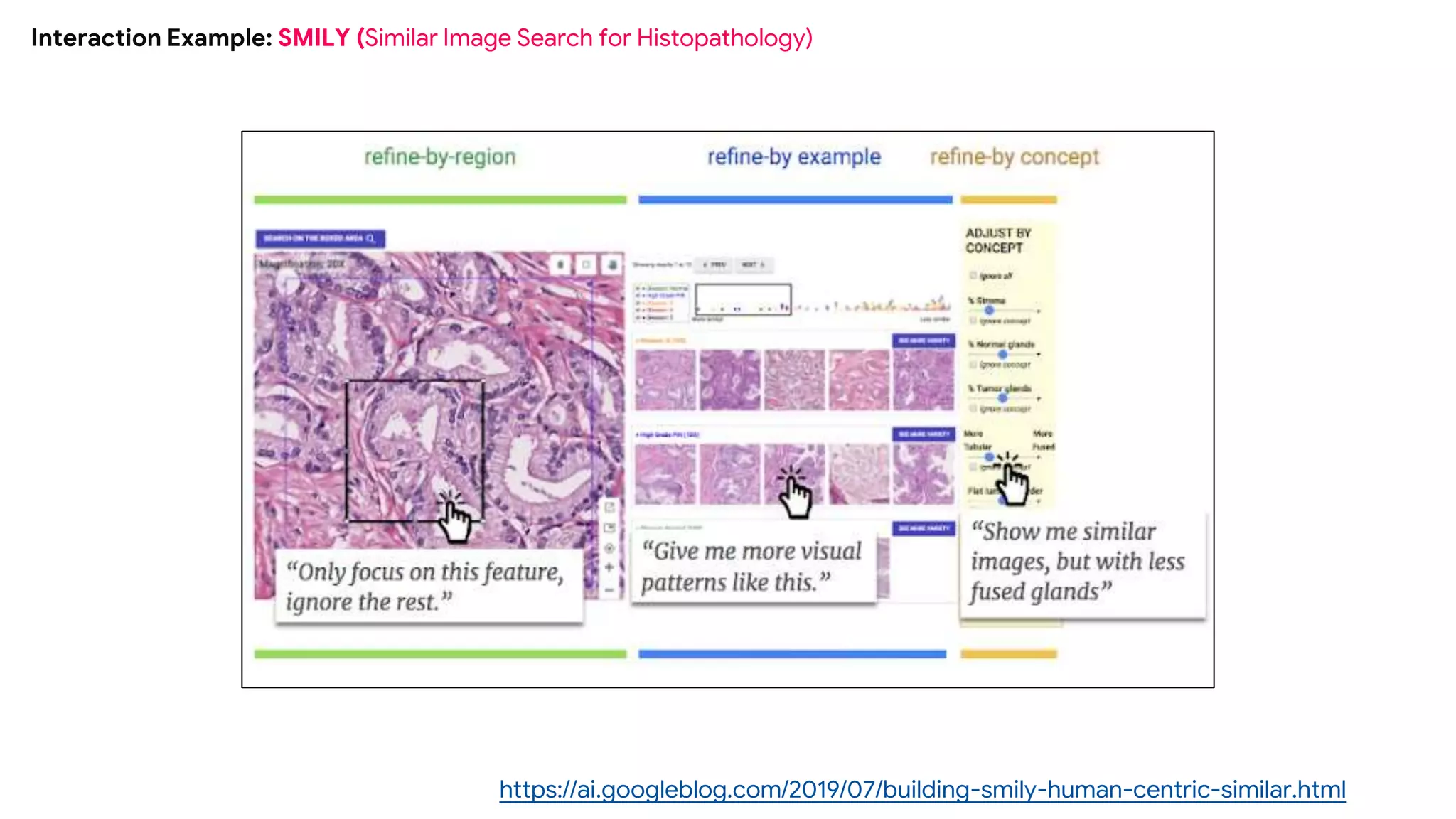 Interaction Example: SMILY (Similar Image Search for Histopathology)
https://ai.googleblog.com/2019/07/building-smily-human-centric-similar.html
 