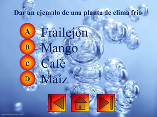 Dar un ejemplo de una planta de clima frio

   A    Frailejón
   B    Mango
   c    Café
   D    Maíz
 