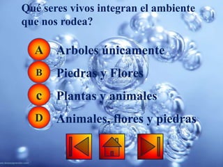 Qué seres vivos integran el ambiente
que nos rodea?

  A    Arboles únicamente
  B    Piedras y Flores
   c   Plantas y animales
  D    Animales, flores y piedras
 