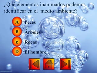 ¿Qué elementos inanimados podemos
identificar en el medio ambiente?

    A   Peces
    B   Árboles

    c   Rocas
    D   El hombre
 