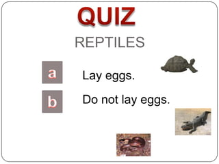 REPTILES

Lay eggs.
Do not lay eggs.
 