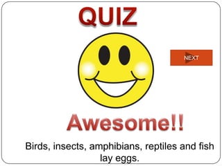 NEXT




Birds, insects, amphibians, reptiles and fish
                  lay eggs.
 