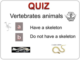 Vertebrates animals
       Have a skeleton
       Do not have a skeleton
 