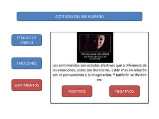 ACTITUDES DEL SER HUMANO
ESTADOS DE
ANIM O
EMOCIONES
SENTIMIENTOS
Los sentimientos son estados afectivos que a diferencia de
las emociones, estos son duraderos, están mas en relación
con el pensamiento y la imaginación. Y también se dividen
en:
POSITIVOS NEGATIVOS
 