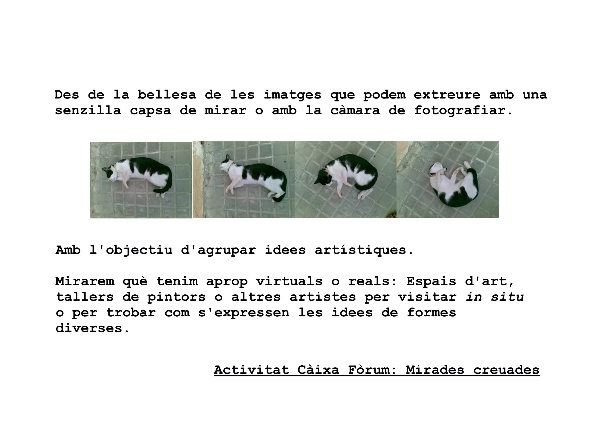 Des de la bellesa de les imatges que podem extreure amb una
senzilla capsa de mirar o amb la càmara de fotografiar.




Amb l'objectiu d'agrupar idees artístiques.

Mirarem què tenim aprop virtuals o reals: Espais d'art,
tallers de pintors o altres artistes per visitar in situ
o per trobar com s'expressen les idees de formes
diverses.


                   Activitat Càixa Fòrum: Mirades creuades
 