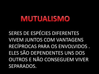 SERES DE ESPÉCIES DIFERENTES
VIVEM JUNTOS COM VANTAGENS
RECÍPROCAS PARA OS ENVOLVIDOS .
ELES SÃO DEPENDENTES UNS DOS
OUTROS E NÃO CONSEGUEM VIVER
SEPARADOS.
 