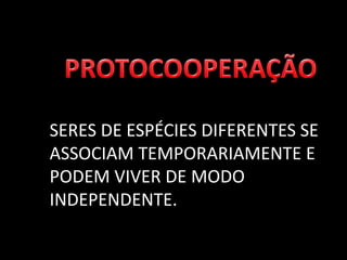 SERES DE ESPÉCIES DIFERENTES SE
ASSOCIAM TEMPORARIAMENTE E
PODEM VIVER DE MODO
INDEPENDENTE.
 