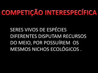 SERES VIVOS DE ESPÉCIES
DIFERENTES DISPUTAM RECURSOS
DO MEIO, POR POSSUÍREM OS
MESMOS NICHOS ECOLÓGICOS .
 