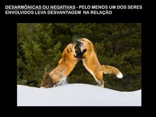 DESARMÔNICAS OU NEGATIVAS - PELO MENOS UM DOS SERES
ENVOLVIDOS LEVA DESVANTAGEM NA RELAÇÃO
 
