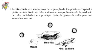 • A ectotérmia é o mecanismo de regulação da temperatura corporal a
partir de uma fonte de calor externa ao corpo do animal. A produção
de calor metabólico é a principal fonte de ganho de calor para um
animal endotérmico.
 