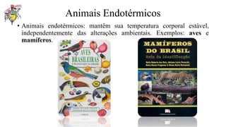 Animais Endotérmicos
• Animais endotérmicos: mantêm sua temperatura corporal estável,
independentemente das alterações ambientais. Exemplos: aves e
mamíferos.
 