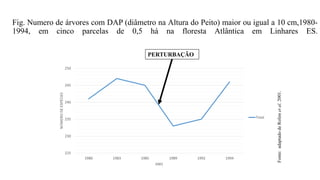 Fig. Numero de árvores com DAP (diâmetro na Altura do Peito) maior ou igual a 10 cm,1980-
1994, em cinco parcelas de 0,5 há na floresta Atlântica em Linhares ES.
Fonte:
adaptado
de
Rolim
et
al.
2001.
225
230
235
240
245
250
1980 1983 1985 1989 1992 1994
NÚMERO
DE
ESPÉCIES
ANO
Total
PERTURBAÇÃO
 