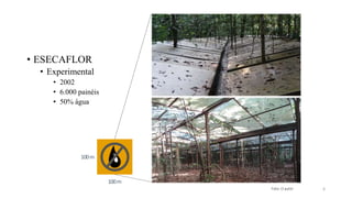 • ESECAFLOR
• Experimental
• 2002
• 6.000 painéis
• 50% água
6
Foto: O autor
100m
100m
 