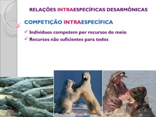 RELAÇÕES INTRAESPECÍFICAS DESARMÔNICAS

COMPETIÇÃO INTRAESPECÍFICA
 Indivíduos competem por recursos do meio
 Recursos não suficientes para todos
 