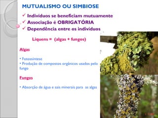 MUTUALISMO OU SIMBIOSE
  Indivíduos se beneficiam mutuamente
  Associação é OBRIGATÓRIA
  Dependência entre os indivíduos

        Liquens = (algas + fungos)

Algas

• Fotossíntese
• Produção de compostos orgânicos usados pelo
fungo

Fungos

• Absorção de água e sais minerais para as algas
 