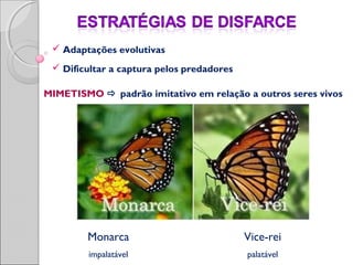  Adaptações evolutivas
 Dificultar a captura pelos predadores
MIMETISMO  padrão imitativo em relação a outros seres vivos
Monarca
impalatável
Vice-rei
palatável
 