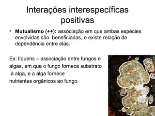 Interações interespecíficas
positivas
• Mutualismo (++): associação em que ambas espécies
envolvidas são beneficiadas, e existe relação de
dependência entre elas.
Ex: líquens – associação entre fungos e
algas, em que o fungo fornece substrato
à alga, e a alga fornece
nutrientes orgânicos ao fungo.
 