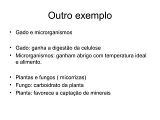 Outro exemplo
• Gado e microrganismos
• Gado: ganha a digestão da celulose
• Microrganismos: ganham abrigo com temperatura ideal
e alimento.
• Plantas e fungos ( micorrizas)
• Fungo: carboidrato da planta
• Planta: favorece a captação de minerais
 
