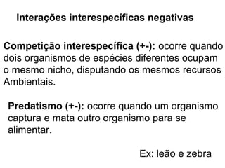 Interações interespecíficas negativas
Predatismo (+-): ocorre quando um organismo
captura e mata outro organismo para se
alimentar.
Ex: leão e zebra
Competição interespecífica (+-): ocorre quando
dois organismos de espécies diferentes ocupam
o mesmo nicho, disputando os mesmos recursos
Ambientais.
 