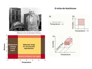 O nicho de Hutchinson
 