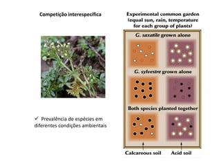 Competição interespecífica




 Prevalência de espécies em
diferentes condições ambientais
 