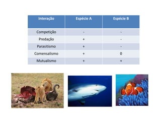 Interação    Espécie A   Espécie B


 Competição        -           -
  Predação        +            -
 Parasitismo      +            -
Comensalismo      +           0
 Mutualismo       +           +
 