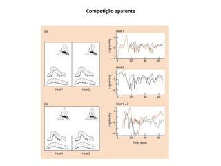 Competição aparente
 