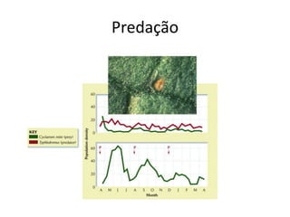 Predação
 