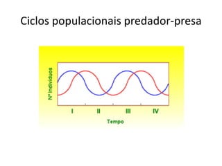 Ciclos populacionais predador-presa
 