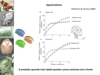 Aposematismo
                                               Gittleman & Harvey (1980)




O predador aprende mais rápido quando a presa contrasta com o fundo
 