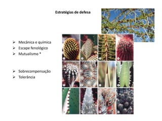 Estratégias de defesa




 Mecânica e química
 Escape fenológico
 Mutualismo *



 Sobrecompensação
 Tolerância
 