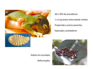 30 a 70% de prevalência

                      1 a 3 parasitas (intensidade média)

                      Propensão a outros parasitas

                      Exposição a predadores




Galhas em eucalipto

      Deformações
 
