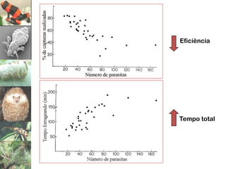 Eficiência




Tempo total
 